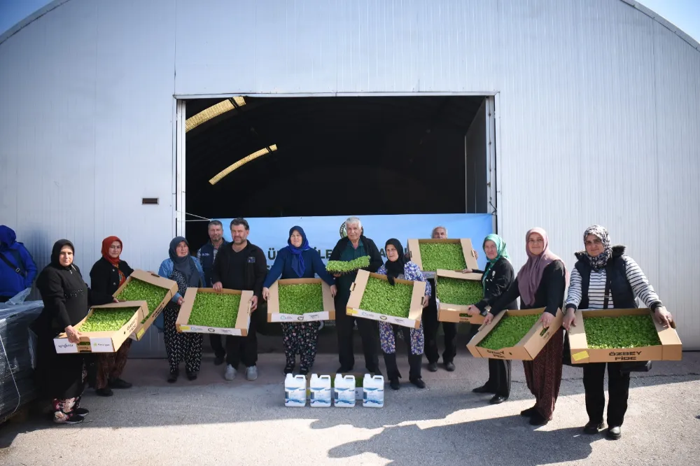 Başkan Akın destekliyor, kadın çiftçiler toprağın bereketini artırıyor