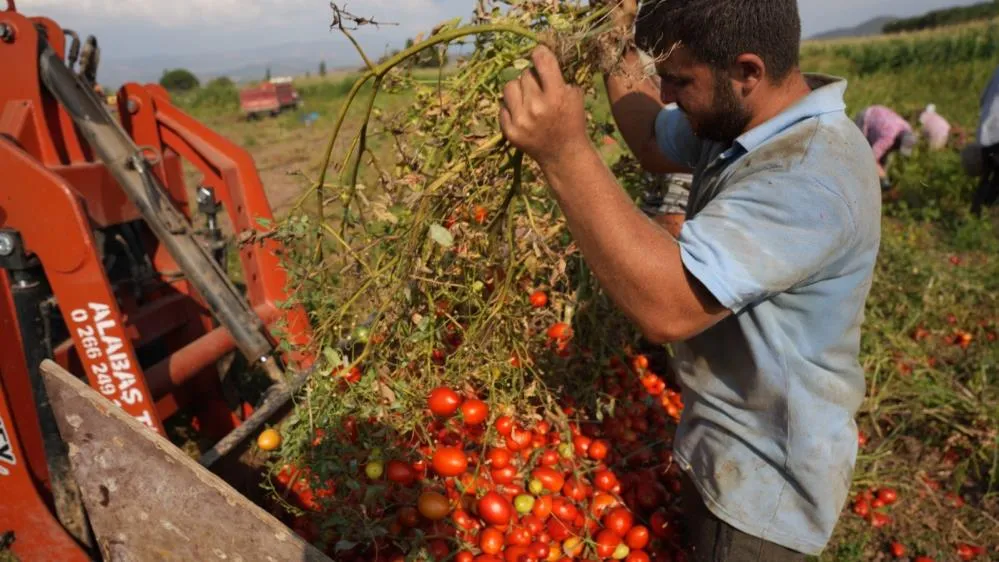 Sındırgı