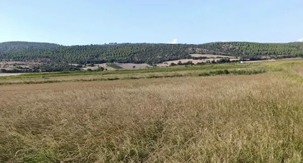 Gönen’de sulama krizi: Çiftçi saatlik suya mahkum
